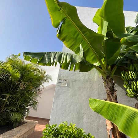 Apartament Malibu Blue 아데제 외부 사진