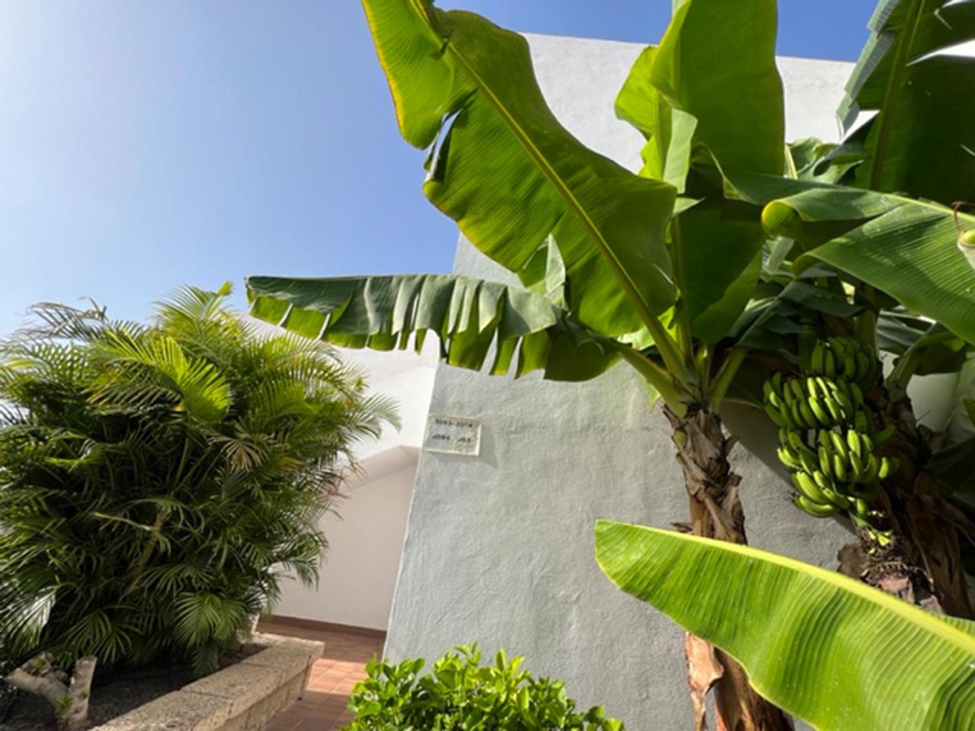 Apartament Malibu Blue 아데제 외부 사진